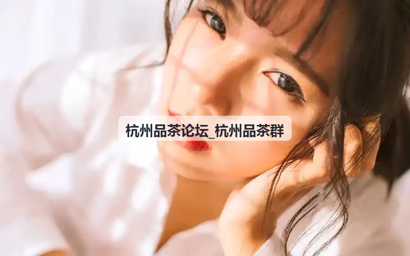 宋代点茶研习雅集回顾
